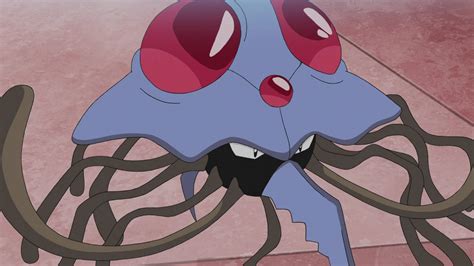 Tentacruel .